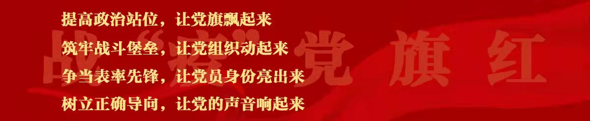 战“疫”党旗红